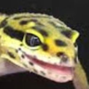 Meet your Posher, Alejandro